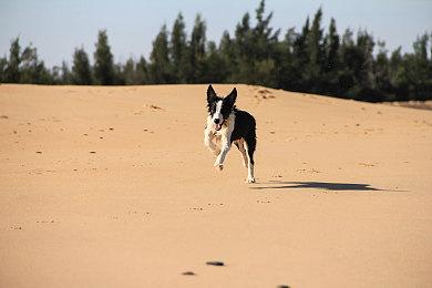 《英灵神殿》“沼泽女巫”更新即将推出公开测试
